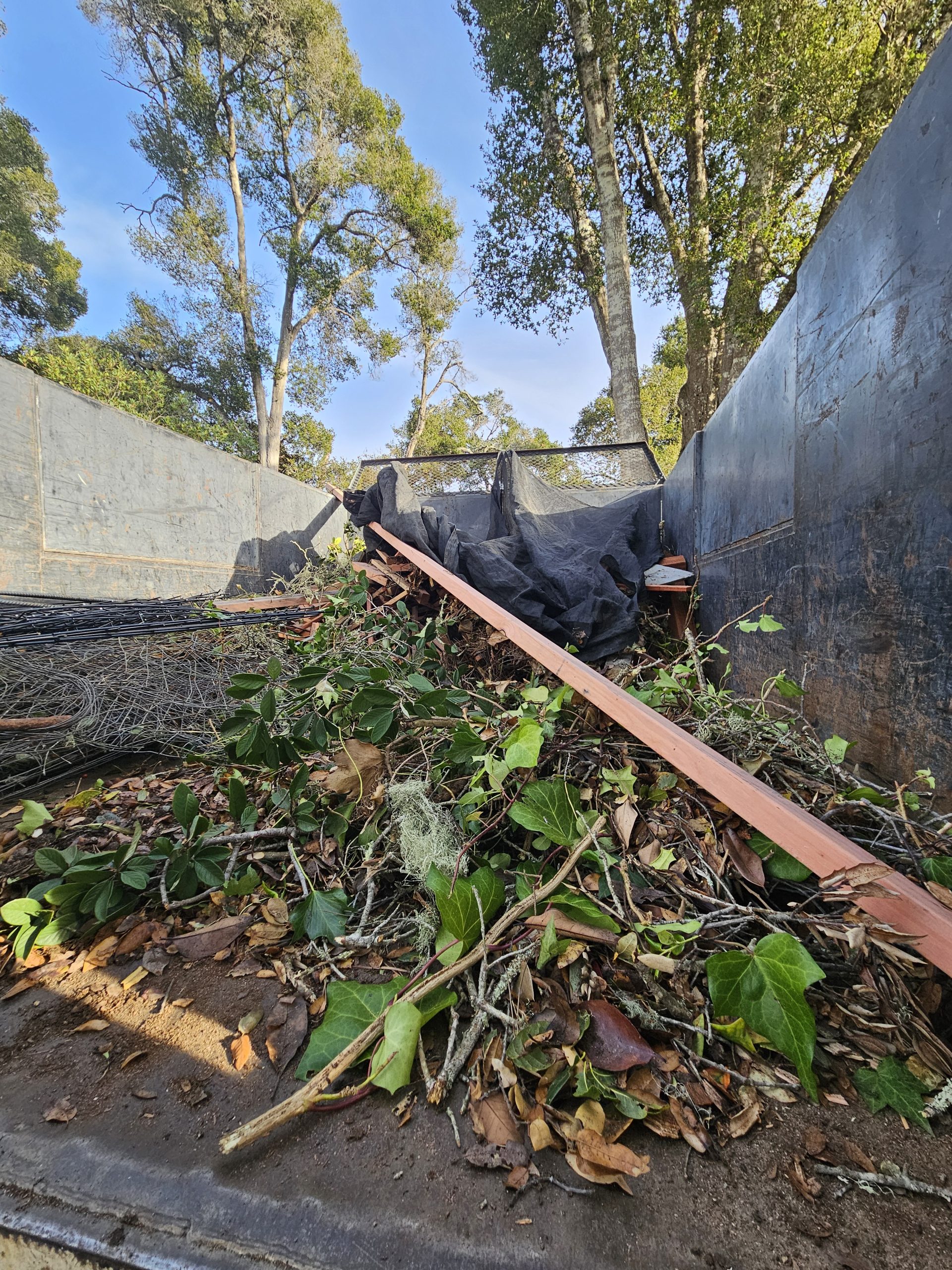 Mario's Garden Landscaping