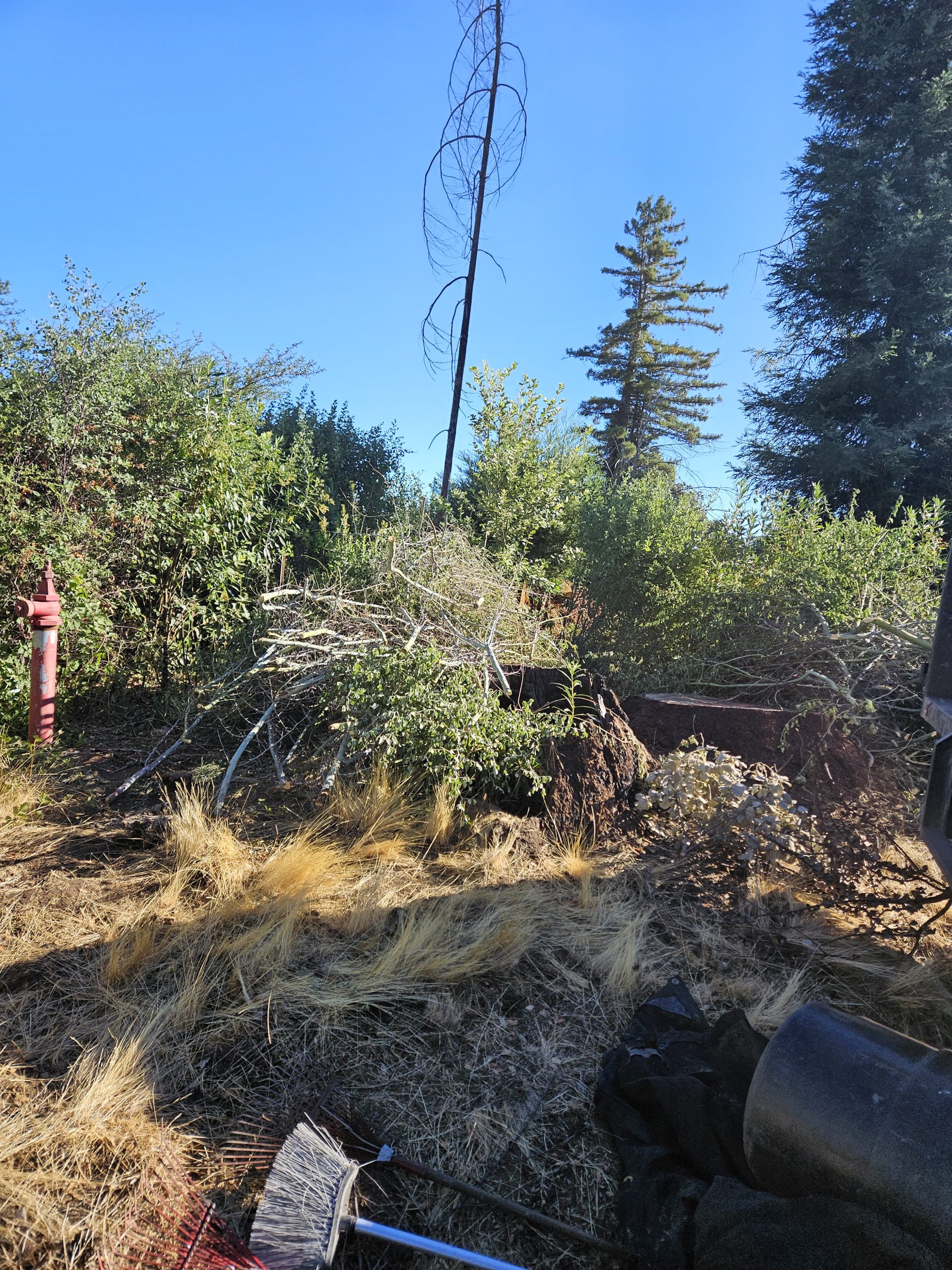 Mario's Garden Landscaping