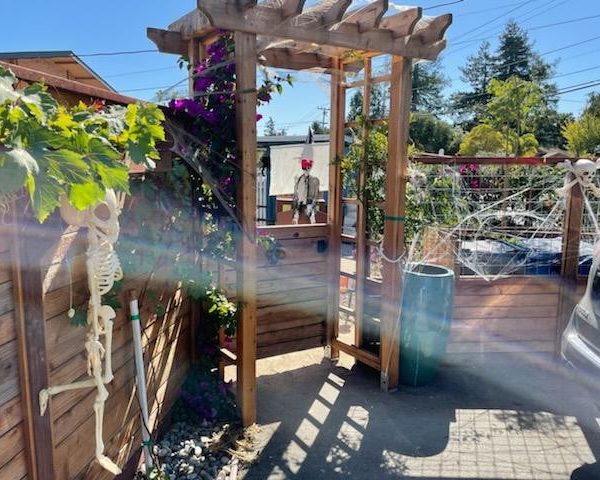 Mario's Garden Landscaping