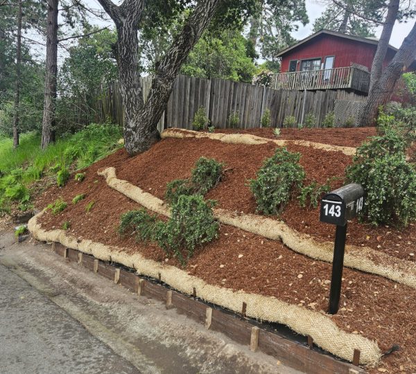 Mario's Garden Landscaping