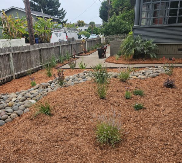 Mario's Garden Landscaping