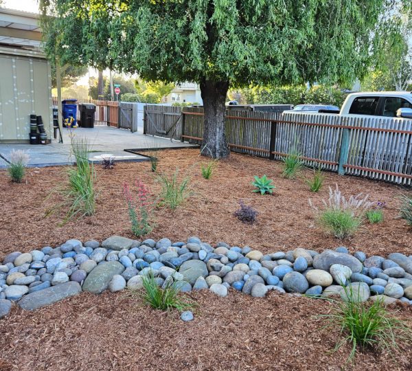 Mario's Garden Landscaping