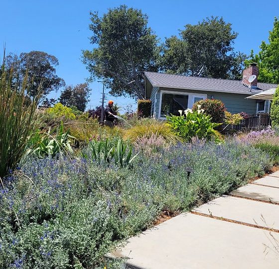 Mario's Garden Landscaping