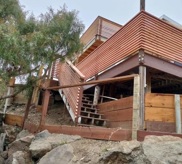 Mario's Garden Landscaping